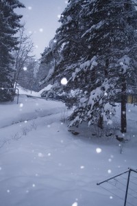 Yard Filled With Snow