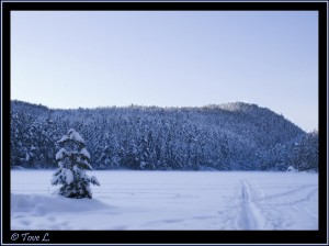 Amazing Picure Of The Snow And Hill